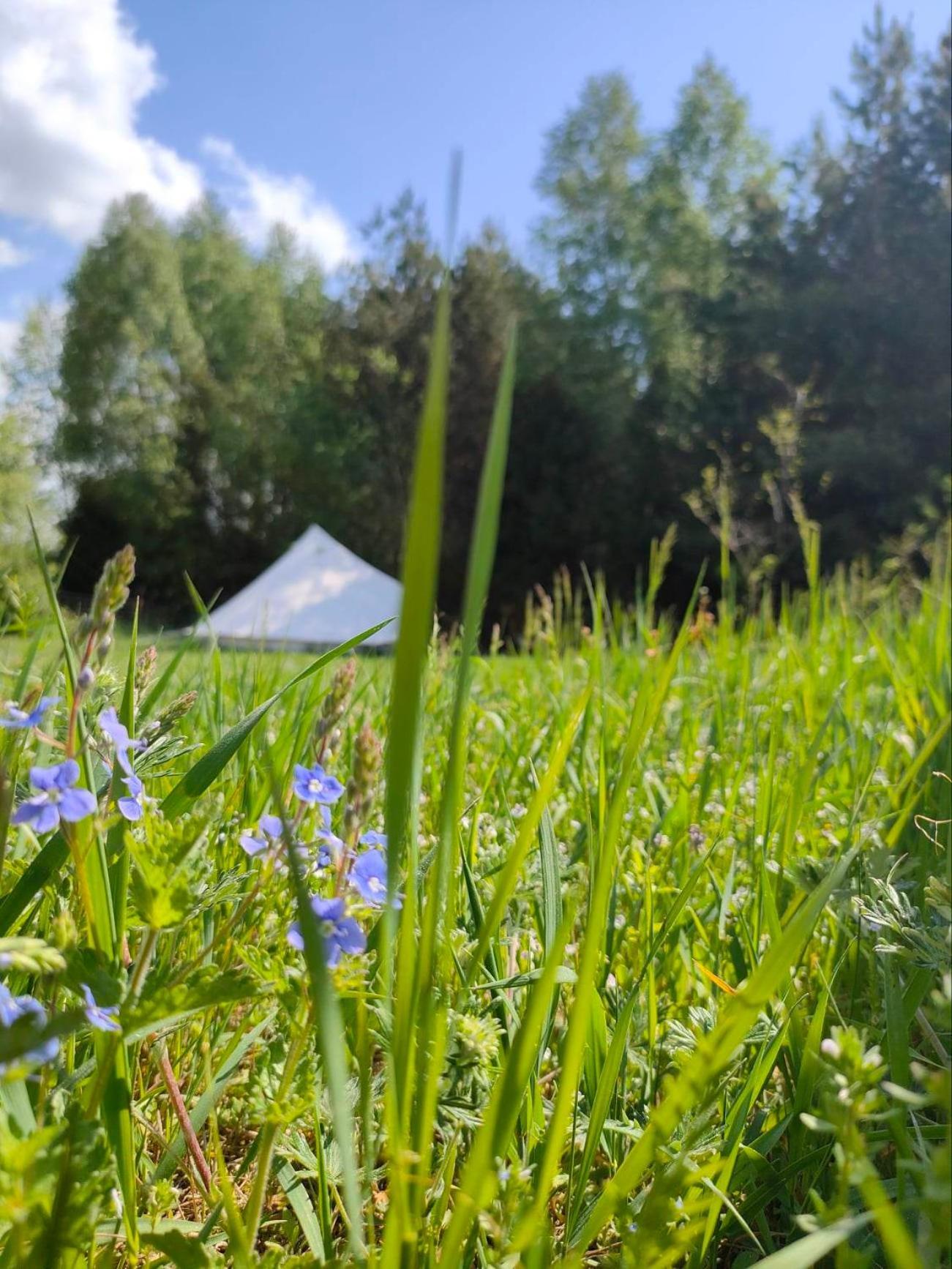 Puszcza Glamping Luxury tent *