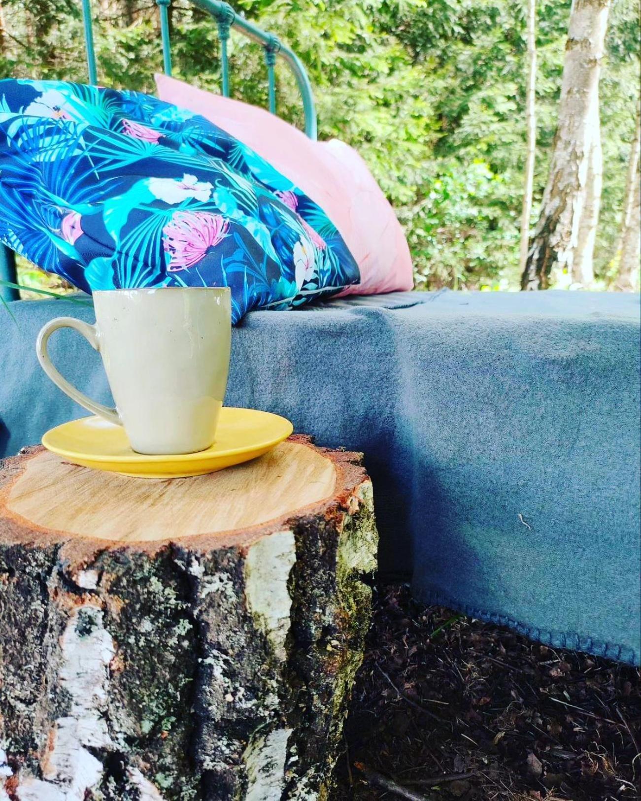 Puszcza Glamping Kuraszewo